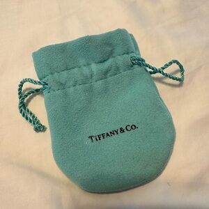 Tiffany Accessory Sachel